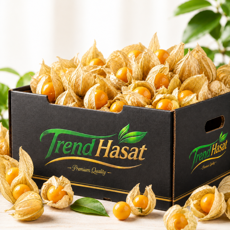 Altın Çilek (Physalis)