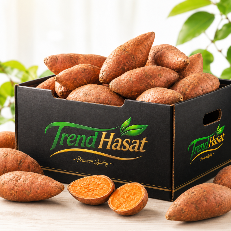 Tatlı Patates