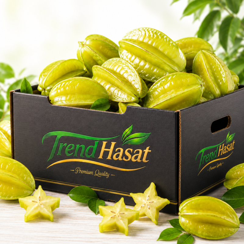 Yıldız Meyvesi (Karambola)