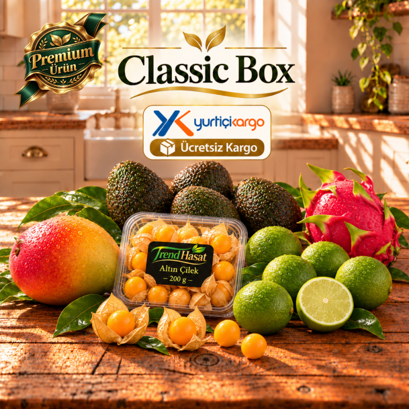 Classic Box