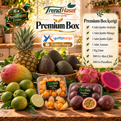 Premium Box
